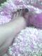 Private Photo of diabolika69