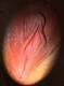Private Photo of Ladybeta75