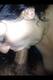 Private Photo of pamy87