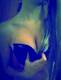 Private Photo of lolita_babygirl