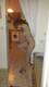 Private Photo of ClaudiaXXseXy