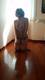 Private Photo of amante_erotica