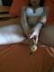 Private Photo of dolcetroia91