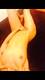 Private Photo of Regina27