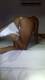 Private Photo of primaesperienzaincam