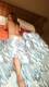 Private Photo of Adara