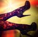 Private Photo of LittleMistress_Deluxe
