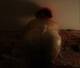 Private Photo of PENNYLANE24