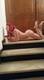 Private Photo of danielina23