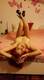 Private Photo of danielina23
