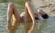 Private Photo of EROTICASOLE