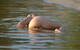 Private Photo of EROTICASOLE